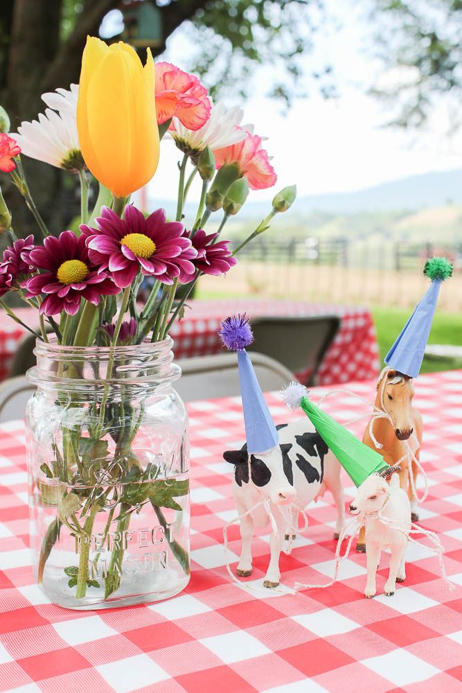 Inspiration for a "Farm Girl" Themed Birthday Party for Any Age